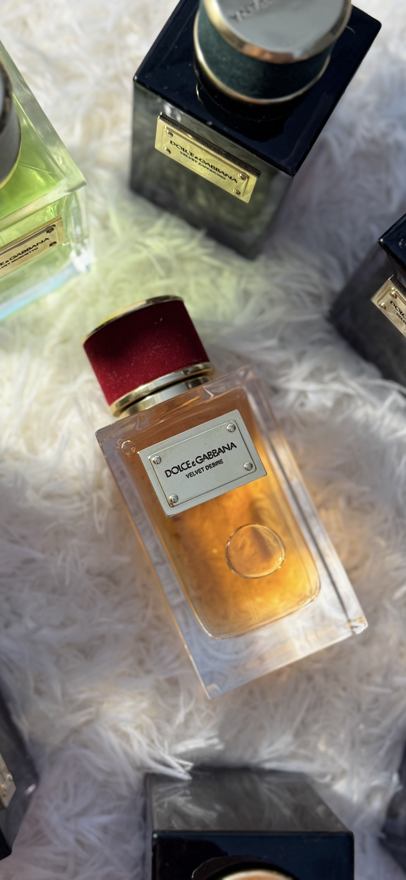 Dolce & Gabbana Velvet Desire