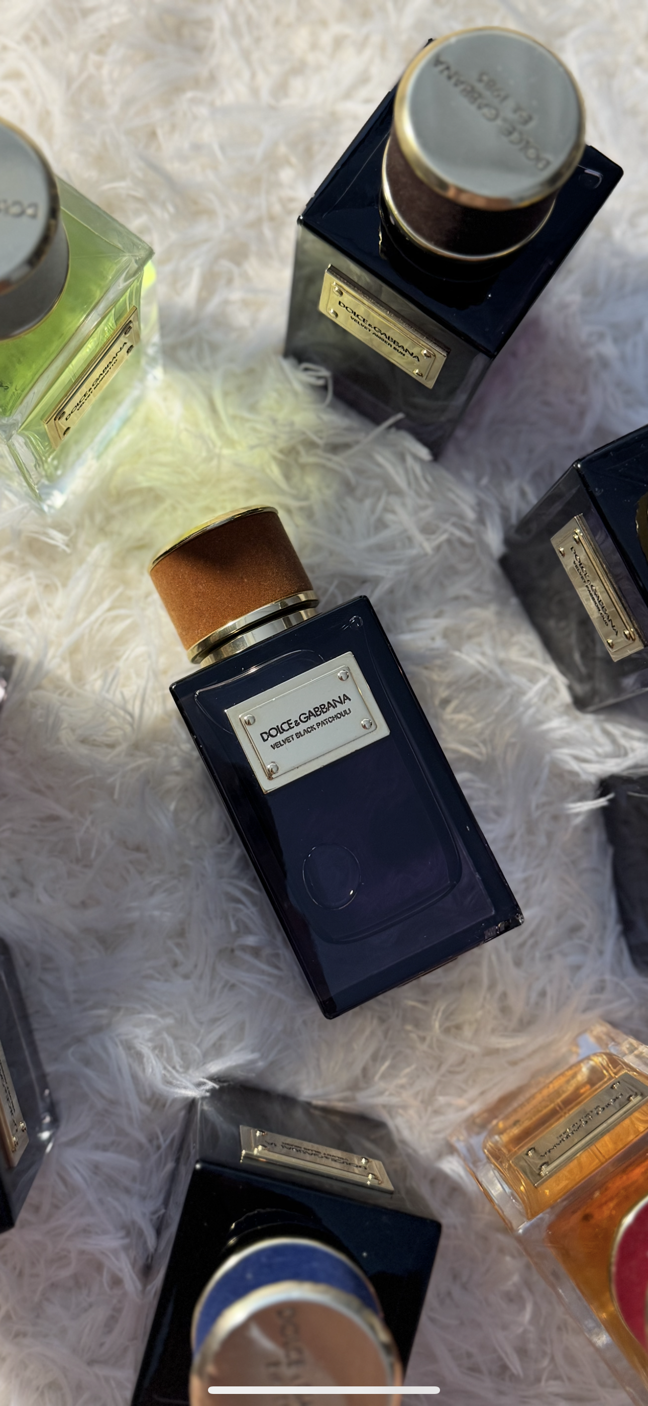 Dolce & Gabbana Velvet Black Patchouli
