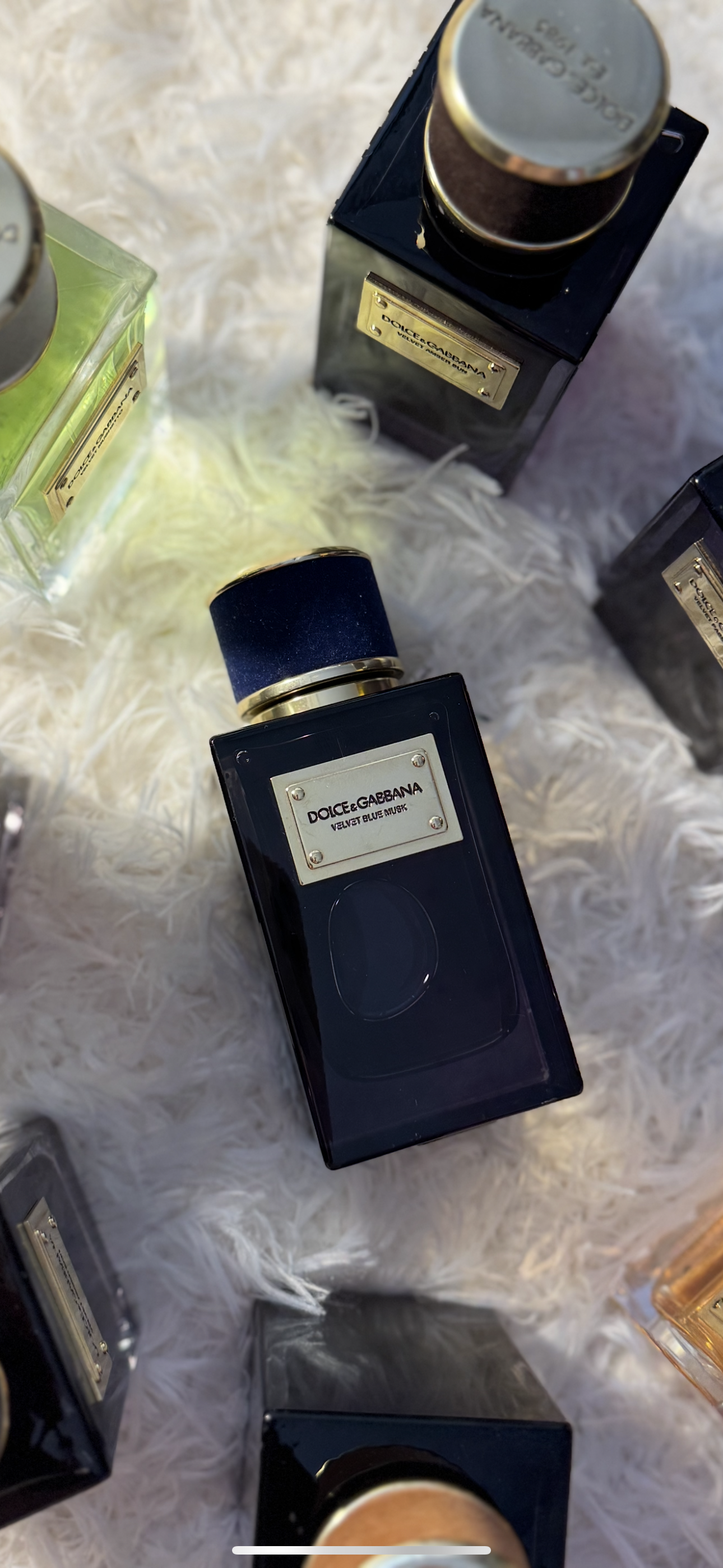 Dolce & Gabbana Velvet Blue Musk