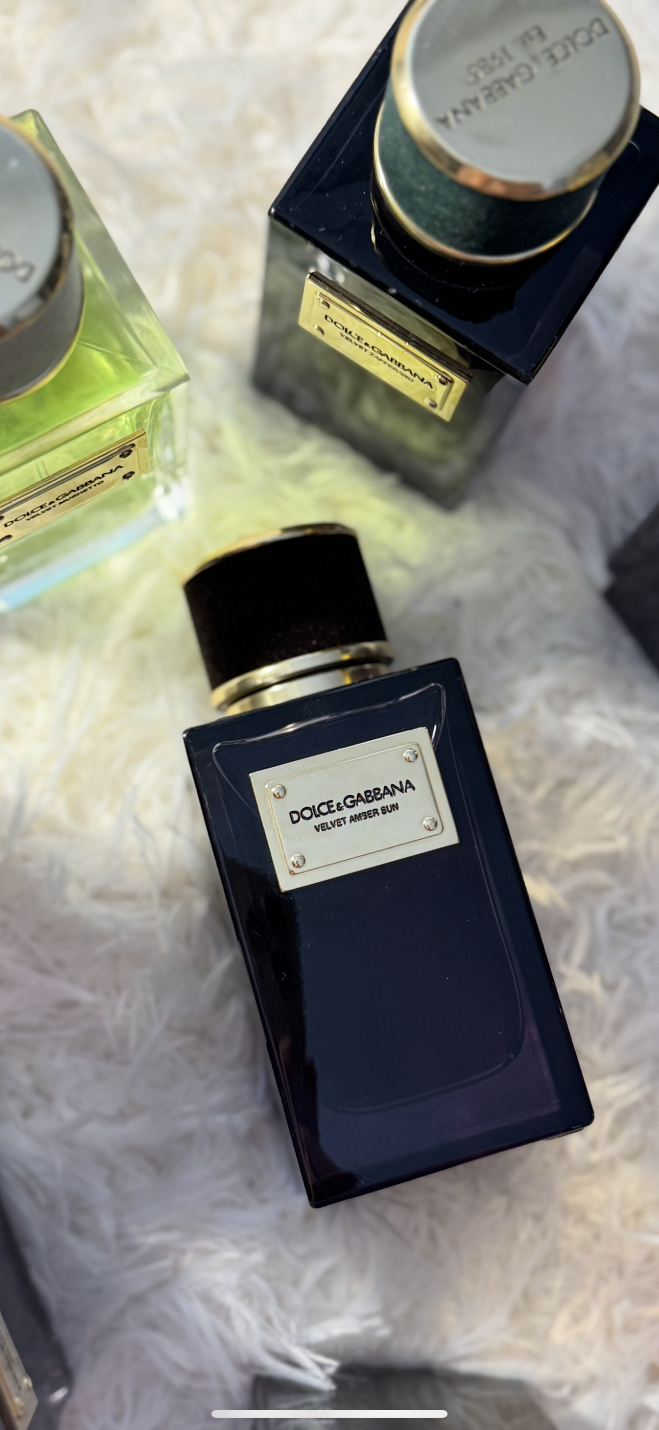 Dolce & Gabbana Velvet Amber Sun