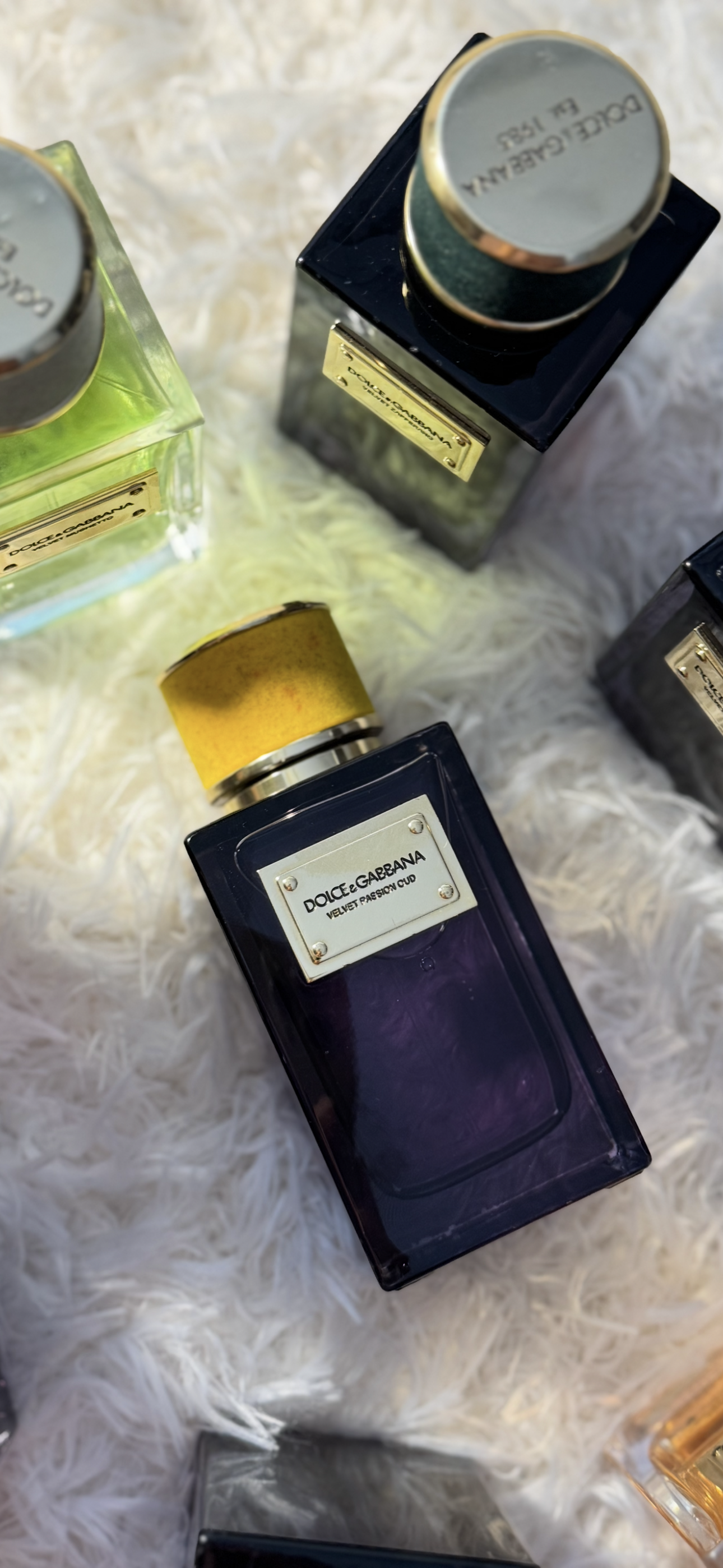 Dolce & Gabbana Velvet Passion Oud