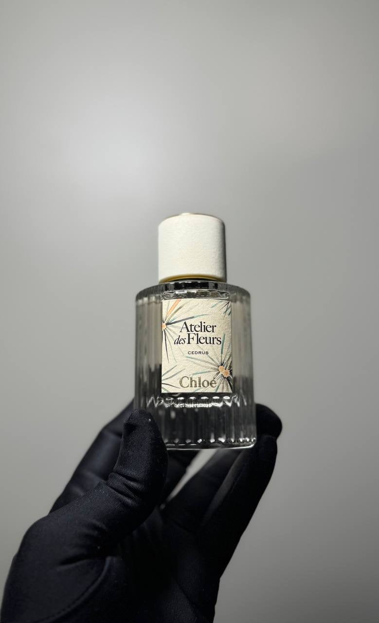 Chloé Atelier des Fleurs Cedrus