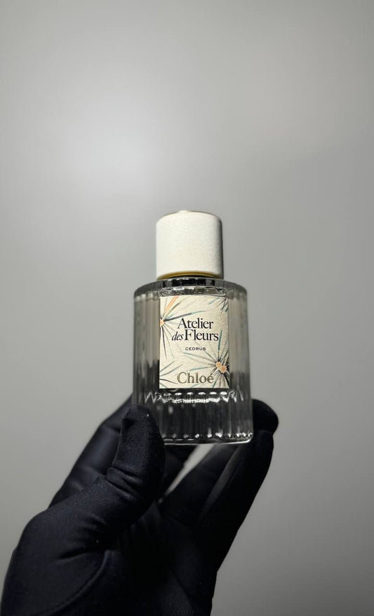Chloé Atelier des Fleurs Cedrus