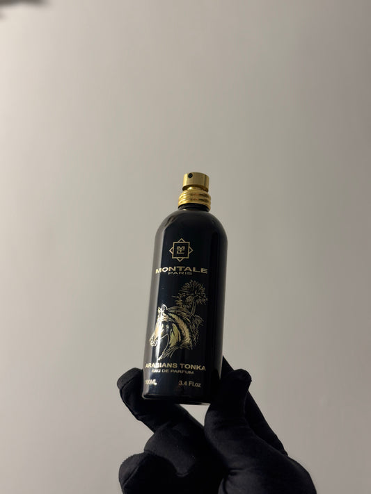 Montale Arabians Tonka