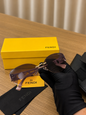Fendi sunglasses full set