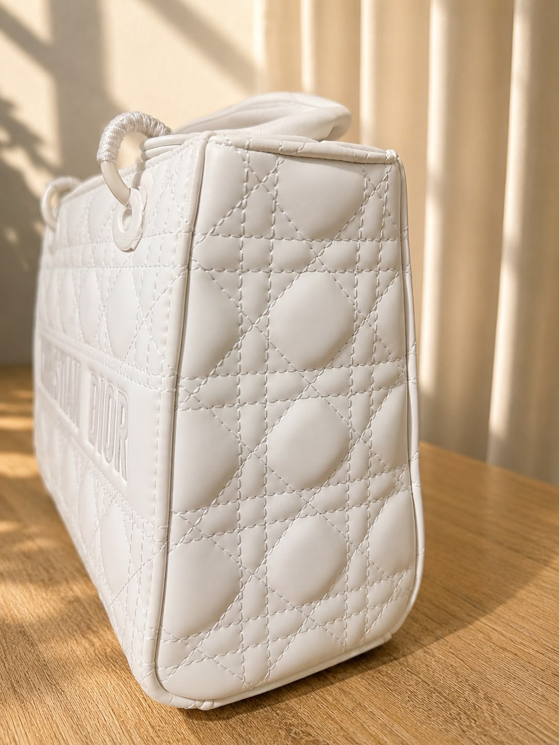 Christian Dior Lady D-Joy bag