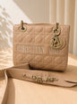 Christian Dior Lady D-Joy bag